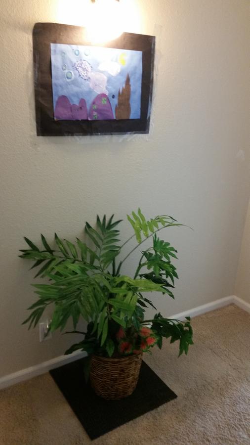 Bed & Breakfast Near Uc Davis Luaran gambar